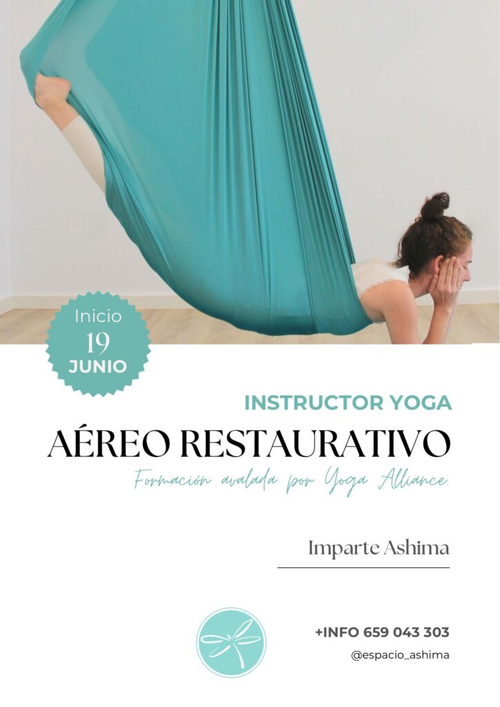 Instructor yoga aereo