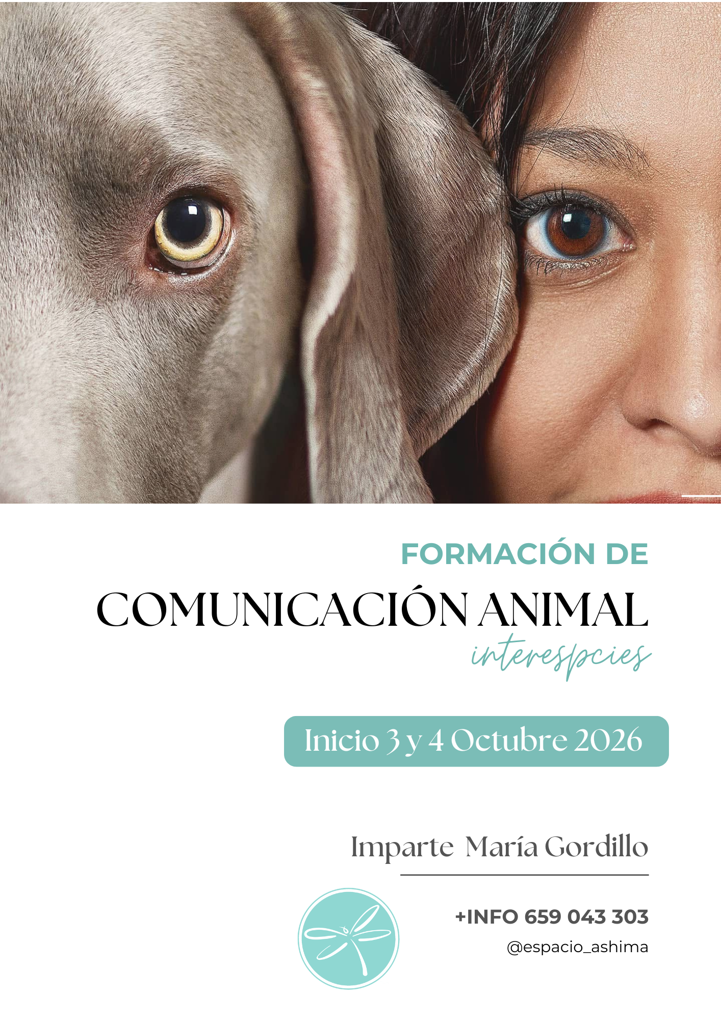 Comunicación animal 1