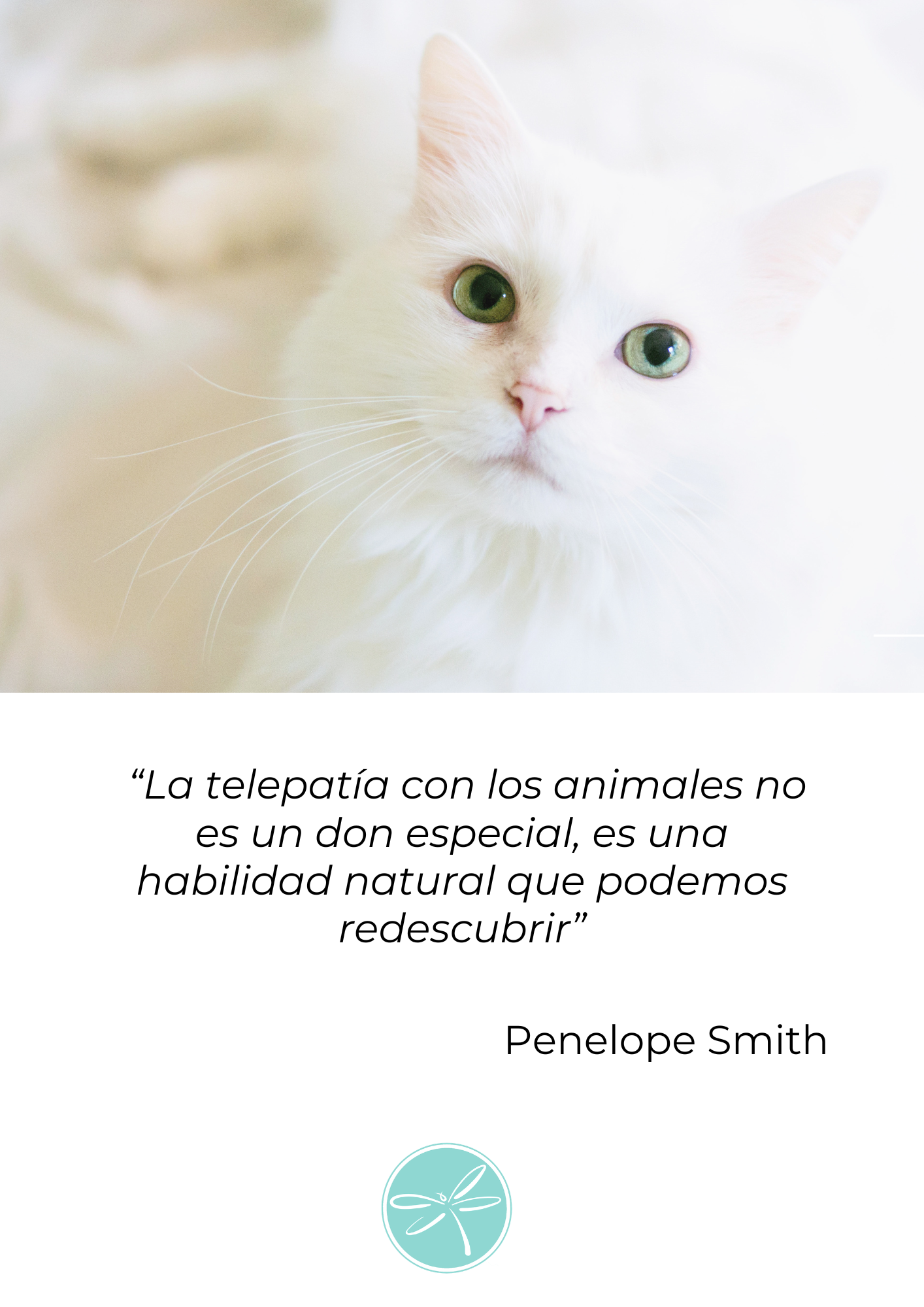 Comunicación animal dos