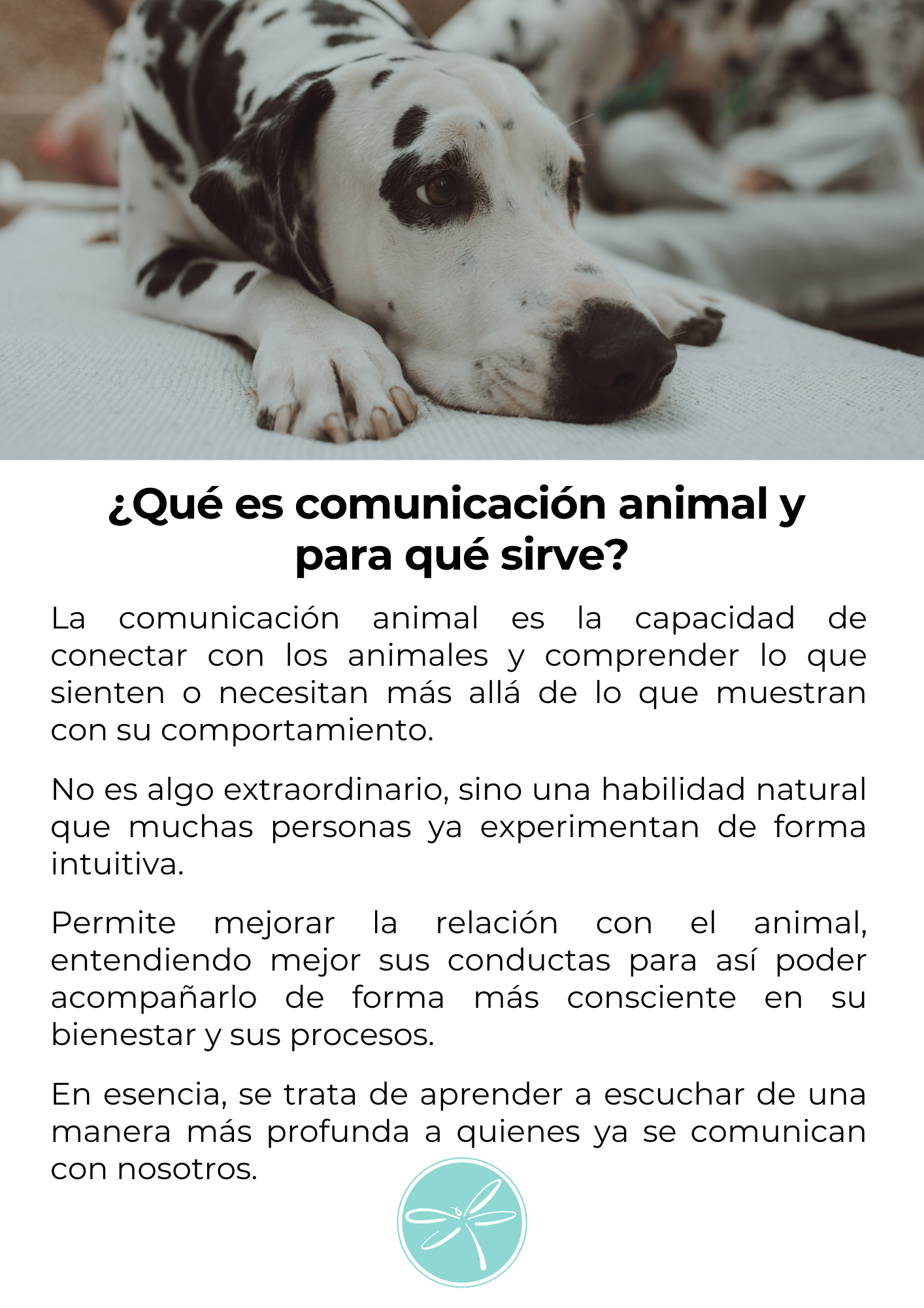 Comunicación animal 3