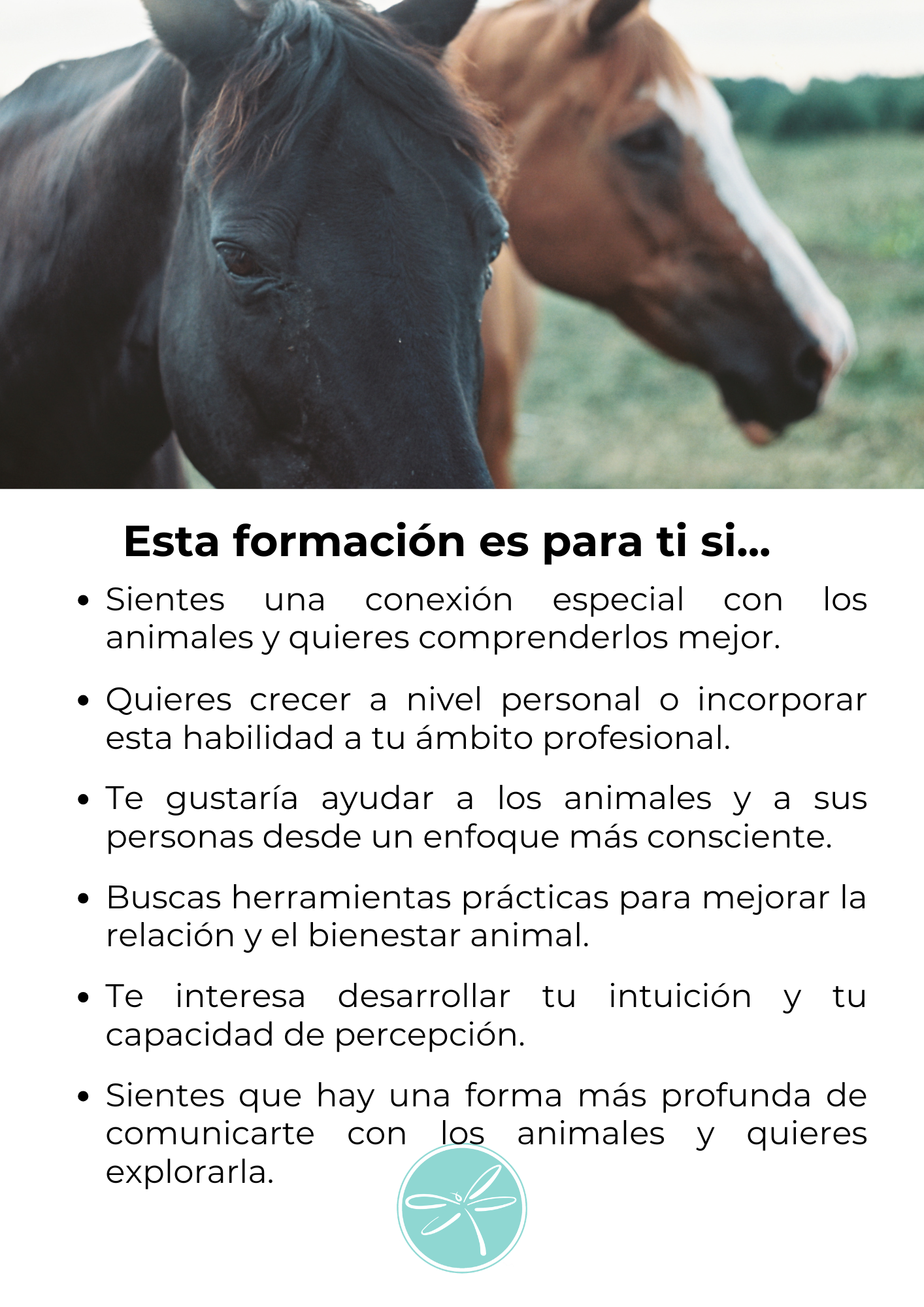 Comunicación animal cuatro