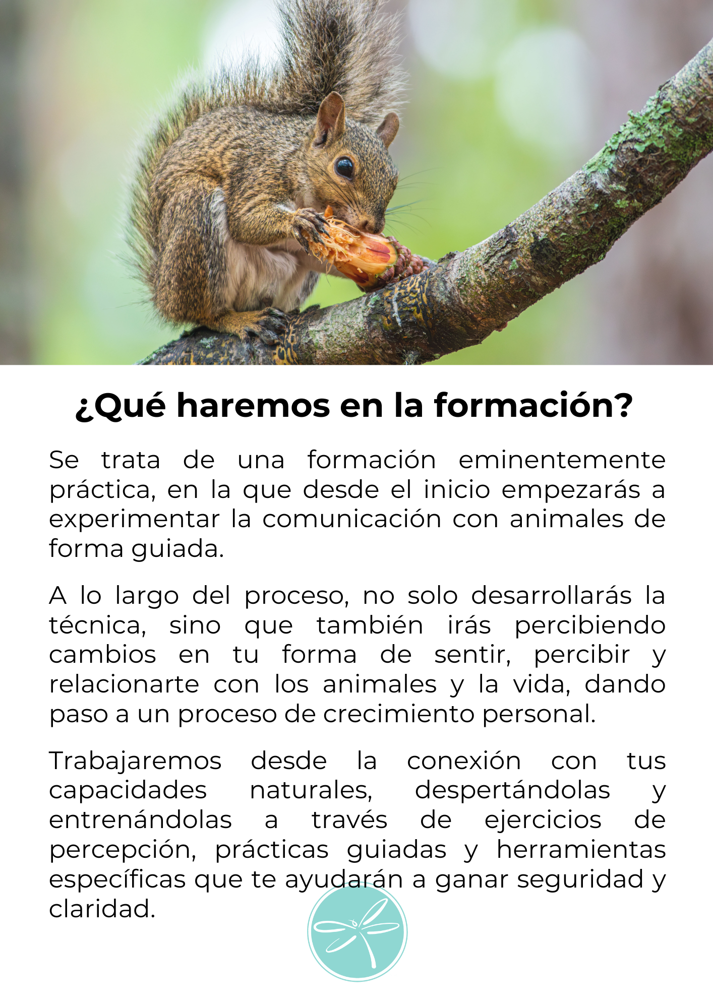 Comunicación animal 5
