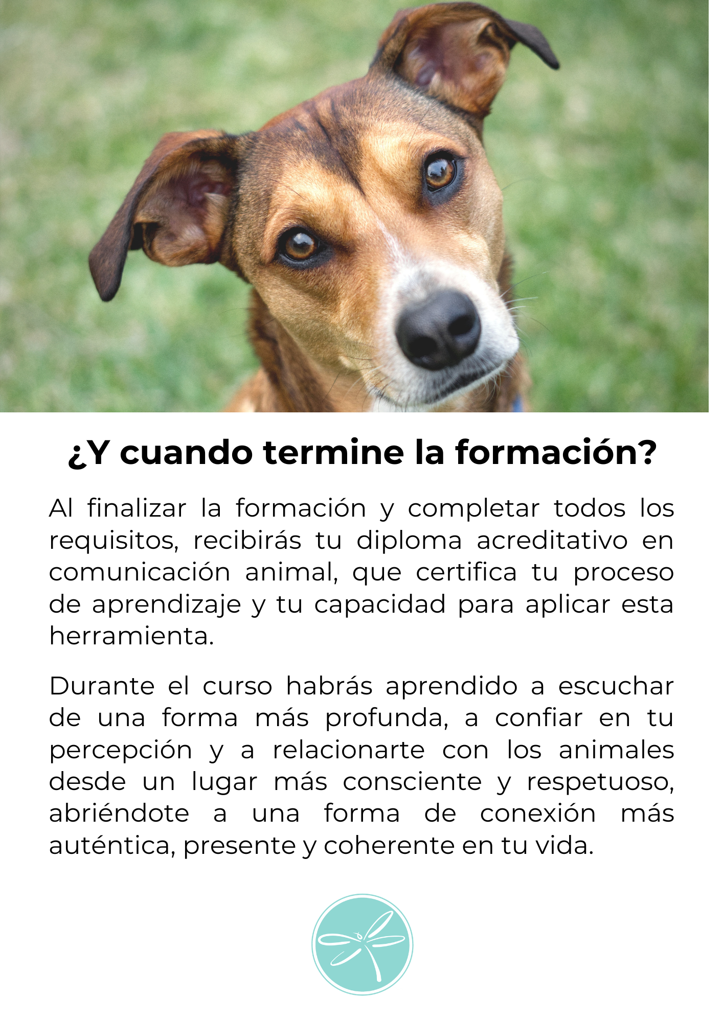 Comunicación Animal 6
