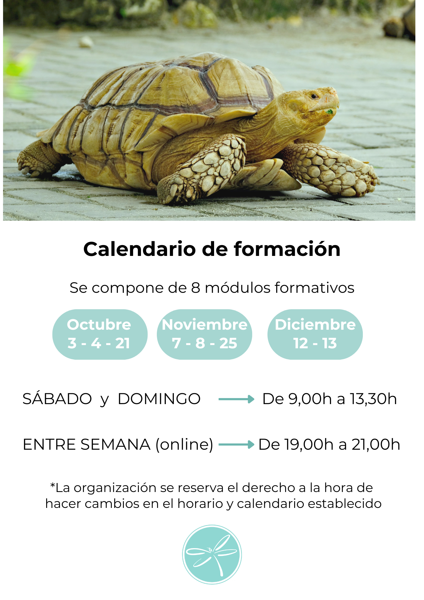 Comunicación animal 7