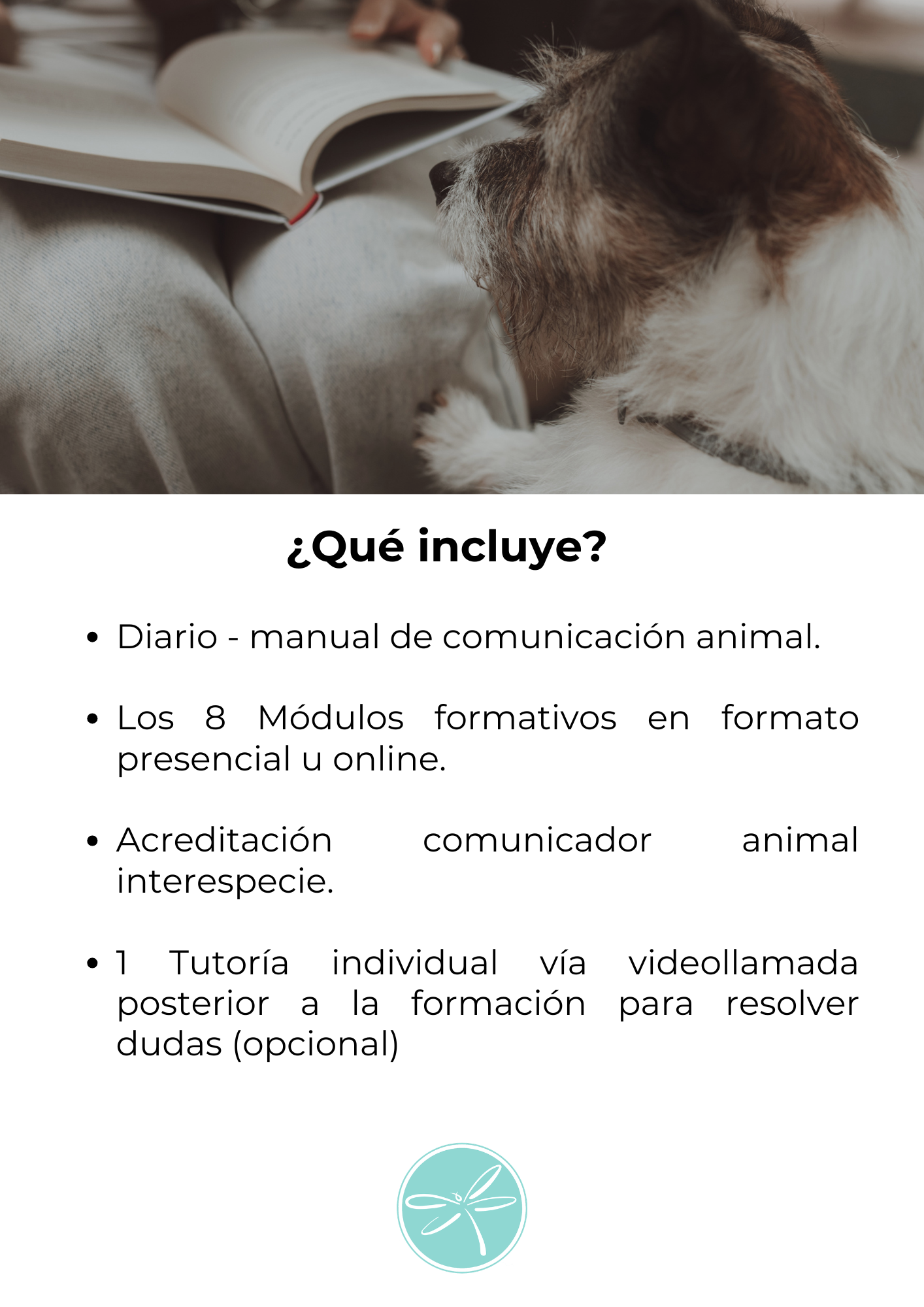 Comunicación animal 8