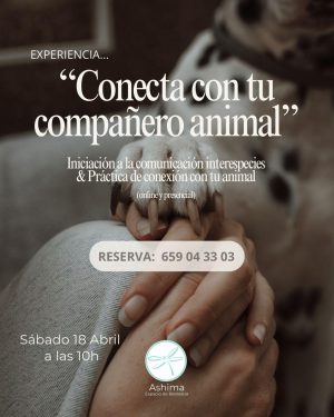 Conecta con tu compañero