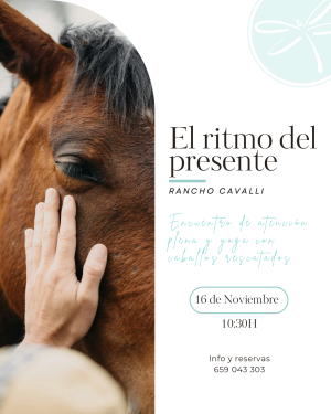 Post instagram vertical (Post de Instagram (45)) - 20